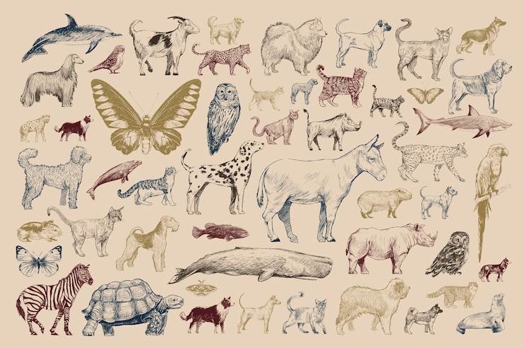 Vecteur gratuit style de dessin d&#39;illustration de collection d&#39;animaux