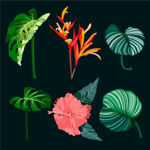 Style de pack de feuilles et fleurs tropicales