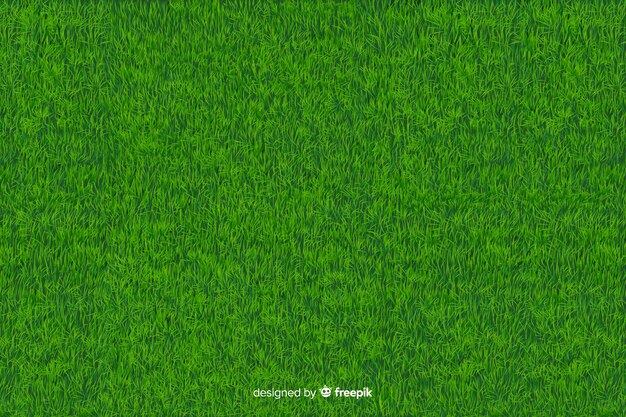 Style réaliste de fond herbe verte