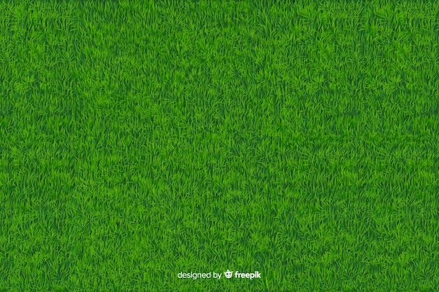 Style réaliste de fond herbe verte