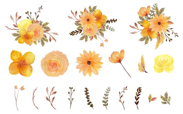Superbe collection de fleurs aquarelles individuelles jaunes et brunes