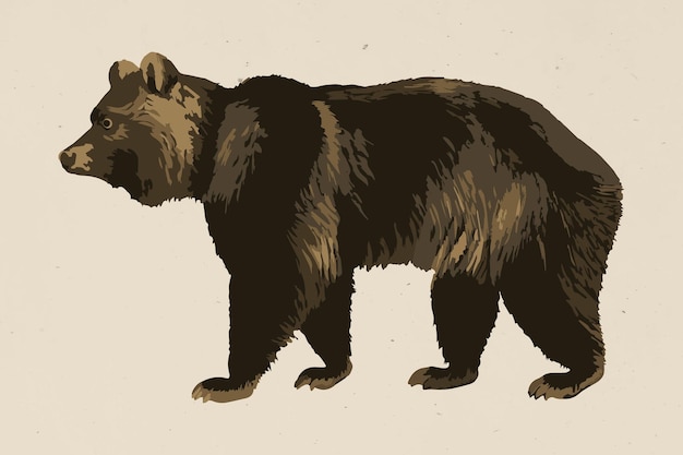 Vecteur gratuit superposition d'autocollant d'ours grizzly vectorisé sur fond beige