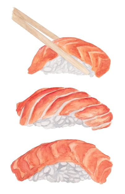 Sushi Aquarelle Sertie De Saumon Vecteur Premium