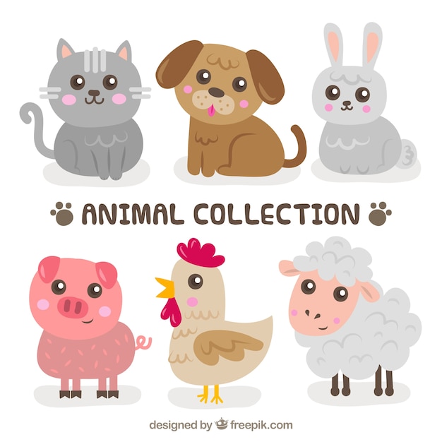 Sweet Pack De Chiots Animaux