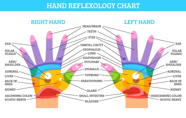 Vecteur gratuit tableau de réflexologie des mains