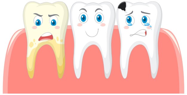 État des dents dentaires et différentes sur fond blanc