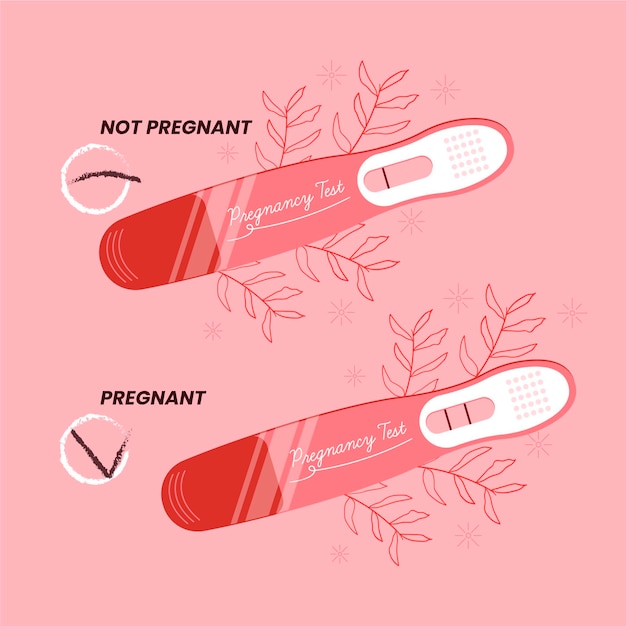 Test De Grossesse Illustré Avec Résultat Positif Et Négatif