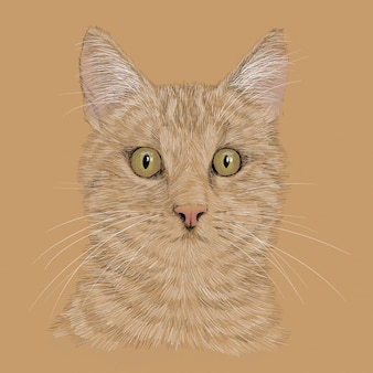 La Tete D Un Chat Avec Une Moustache Croquis De Dessin A La Main Au Crayon Isole Sur Fond Blanc Vecteur Premium La Tete D Un Chat Avec Une Moustache Croquis De Dessin A La Main Au Crayon Isole Sur Fond Blanc Vecteur Premium