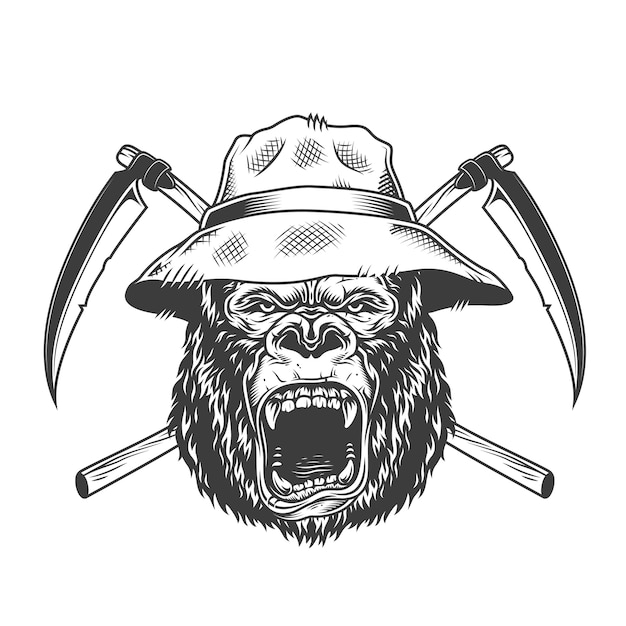 Tête De Gorille Féroce Au Chapeau Panama