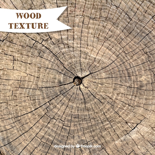 Texture du tronc d&#39;arbre Cuted