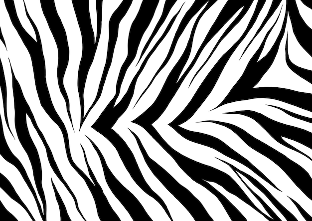 Texture De Fourrure De Tigre Fond Noir Et Blanc