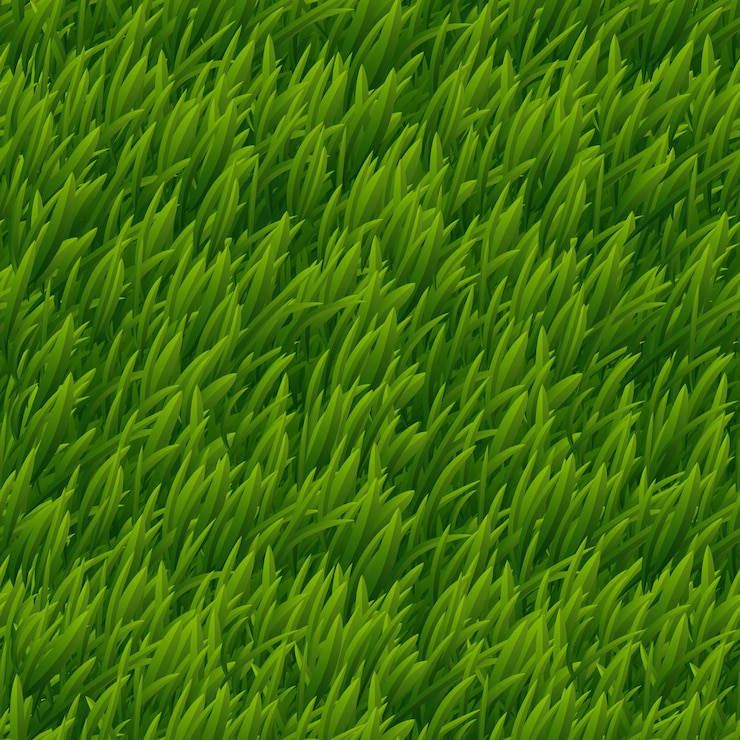 Vecteur gratuit texture transparente de vecteur herbe verte. nature de la pelouse, plante de prairie, illustration extérieure naturelle sur le terrain