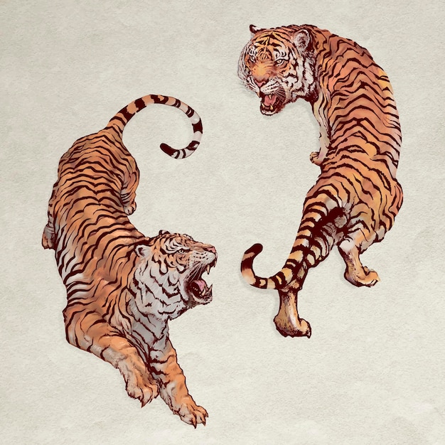 Vecteur gratuit tigres yin yang rugissants dessinés à la main