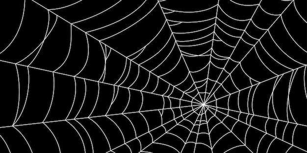 Toile d'araignée effrayante silhouette de toile d'araignée blanche isolée sur fond noir