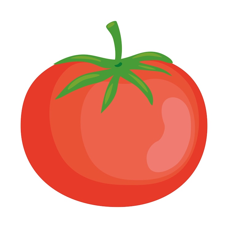 Vecteur gratuit tomates, légumes et icônes biologiques isolées