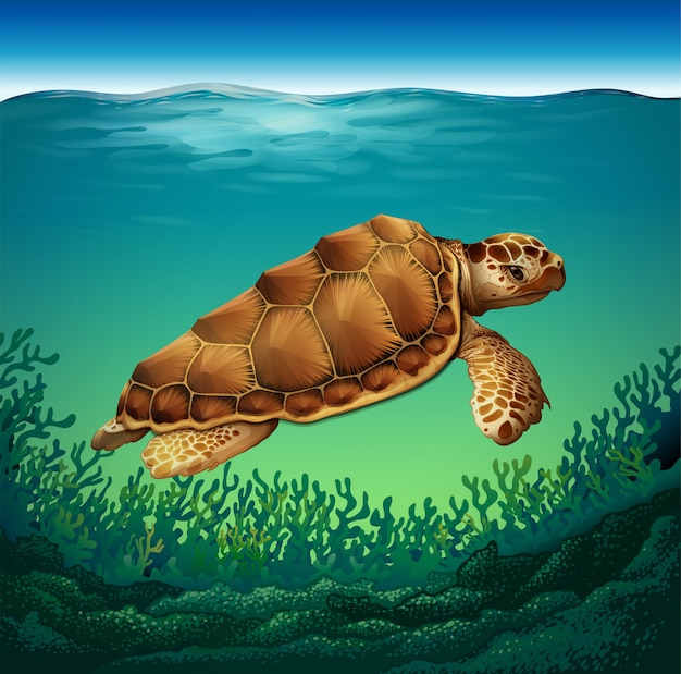 Vecteur gratuit tortue dans la mer