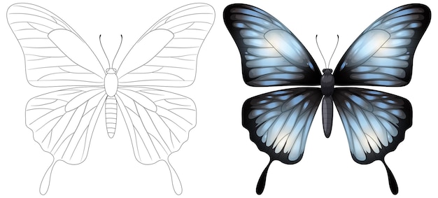 Vecteur gratuit transformation monochrome en papillon coloré