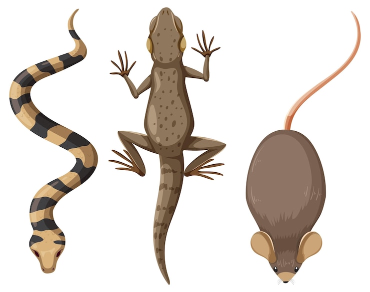 Vecteur gratuit trio de serpents sauvages lézard et souris