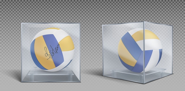 Vecteur gratuit trophée de balles de volleyball dans un coffret en verre ou en plastique