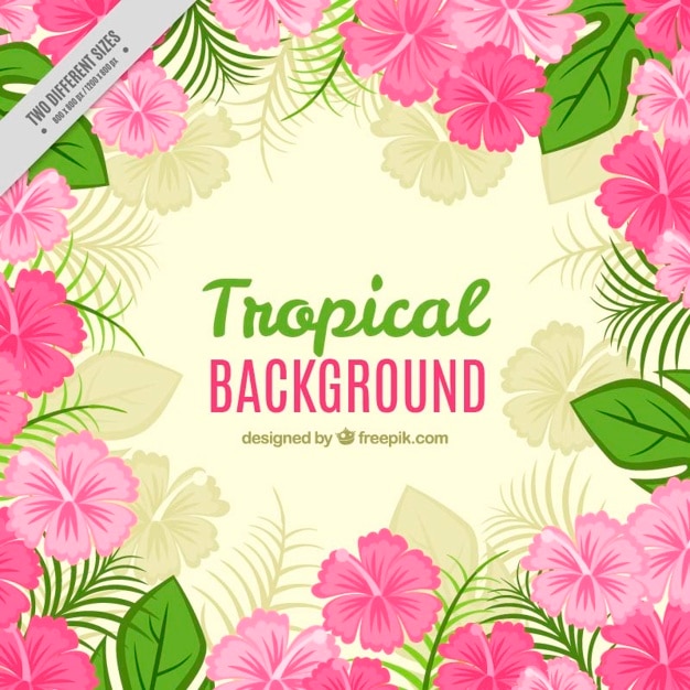 Tropical Background Avec Des Fleurs Et Des Feuilles Roses