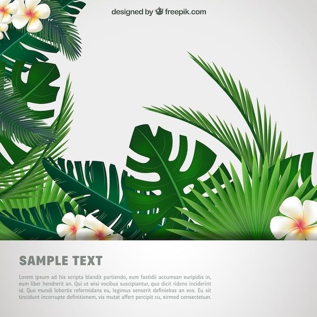 Tropical background