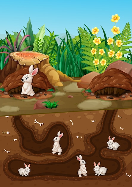 Vecteur gratuit trou animal souterrain avec de nombreux lapins blancs