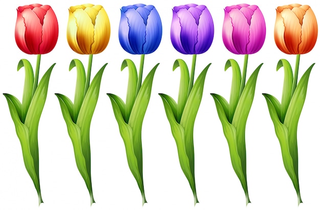 Vecteur gratuit tulipe