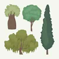 Vecteur gratuit type d'arbres dessinés à la main