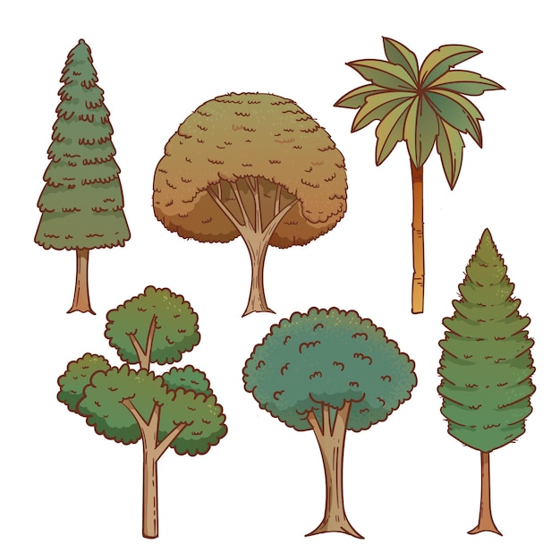Type de collection d'arbres exotiques dessinés à la main
