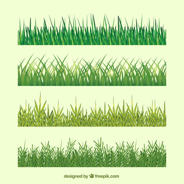 Types D'herbe