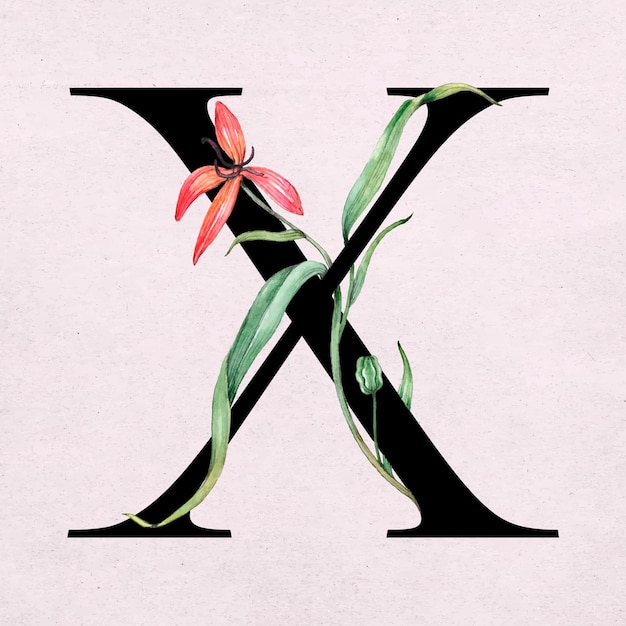 Typographie romantique de police de lettre x floral