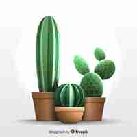 Vecteur gratuit usine de cactus dans un style réaliste