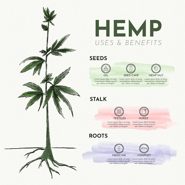 Vecteur gratuit utilisations du chanvre - infographie
