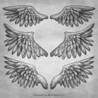 Vecteur gratuit une variété d'ailes fantastiques réalistes