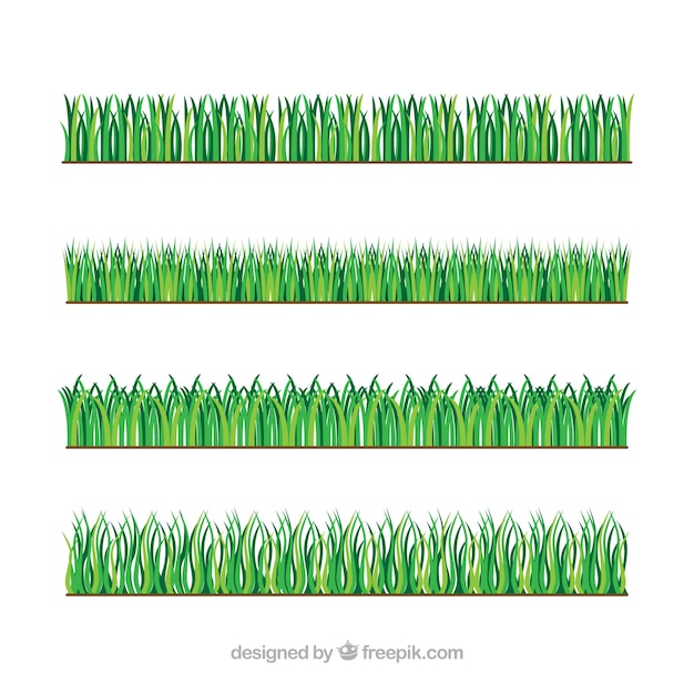 Une Variété De Bordures D'herbe Aux Tons Verts