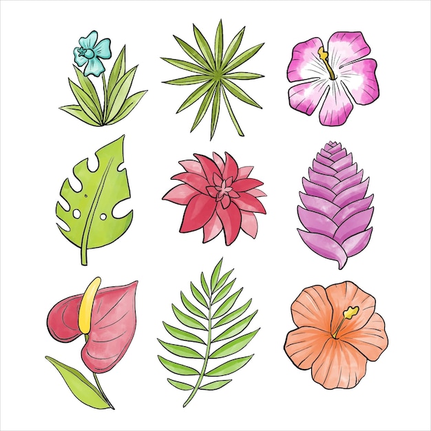 Vecteur gratuit variété de fleurs et de feuilles tropicales