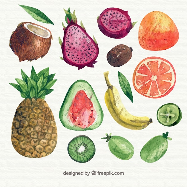 Variété de morceaux de fruits en aquarelle