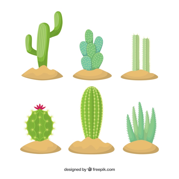 Vecteur gratuit variété originale de cactus plats