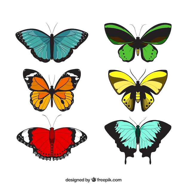 Vecteur gratuit variété de papillons décoratifs