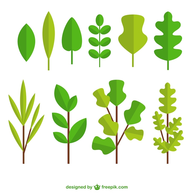 Vecteur gratuit variété plat de feuilles