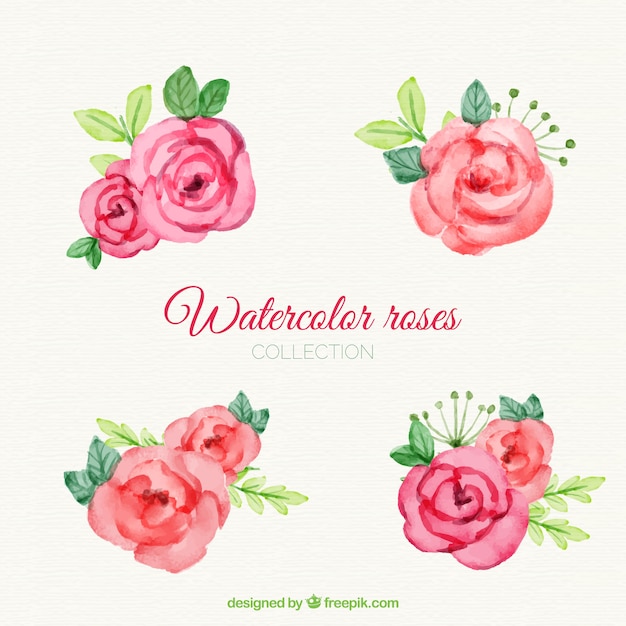 Vecteur gratuit variété de roses peintes avec de l'aquarelle