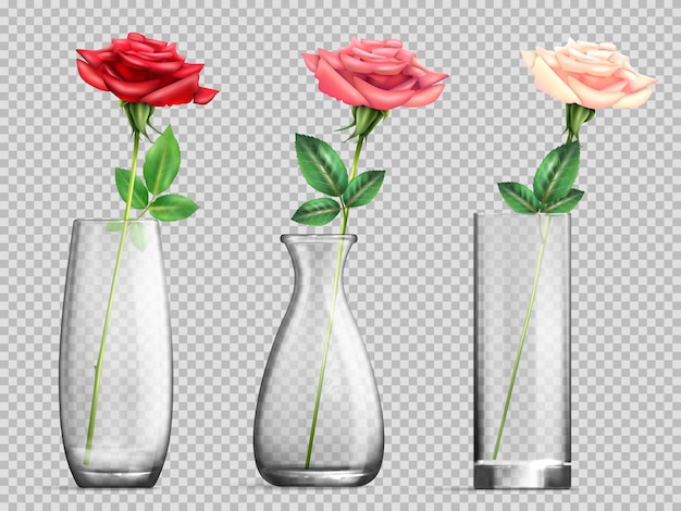 Vase En Verre Avec Ensemble Rose Transparent