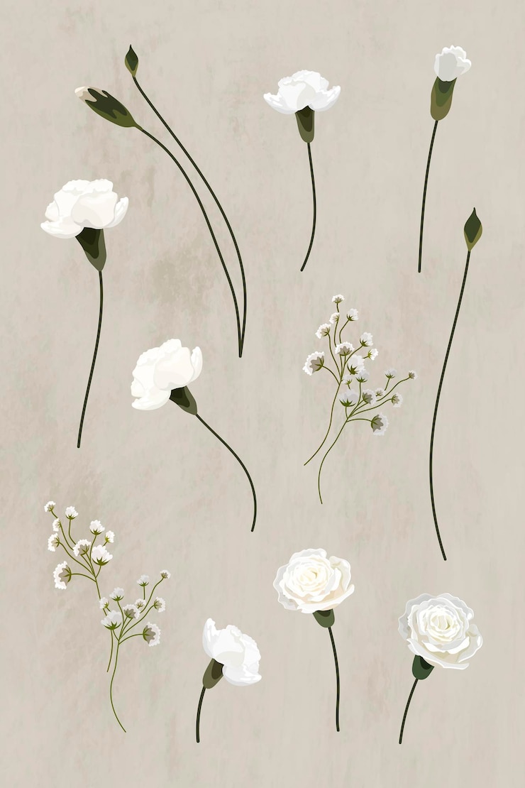 Vecteur gratuit vecteur de collection d'éléments de conception d'oeillets blancs en fleurs