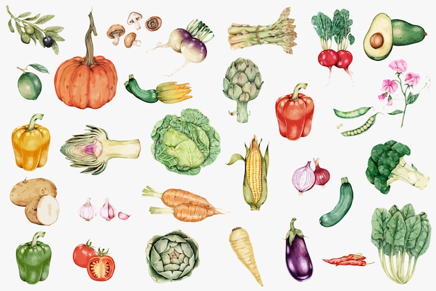 Vecteur de collection de légumes dessinés à la main