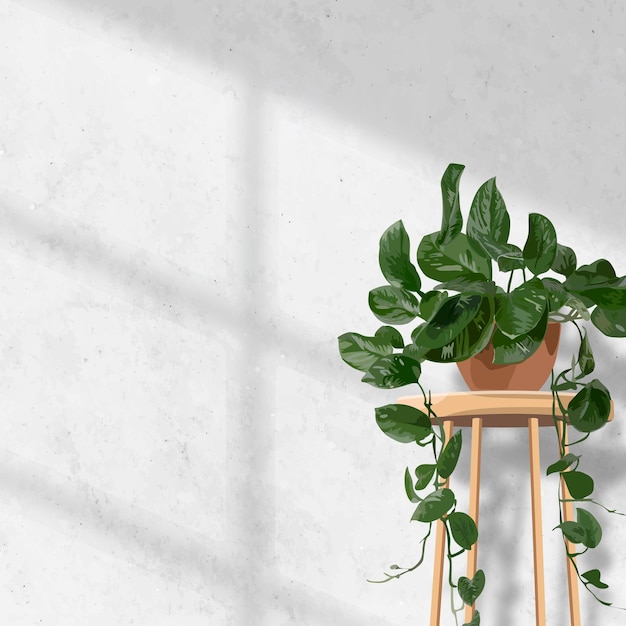 Vecteur esthétique de fond de plante d'intérieur, mur blanc de pothos suspendu avec lumière naturelle