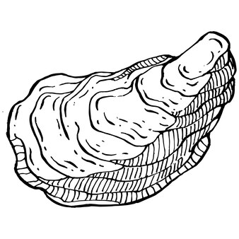 Vecteur d'huîtres avec illustration de style de gravure du logo ou de l'emblème pour le menu de conception de fruits de mer, déjeuner. steakhouse américain classique ou apéritif de bistro français.