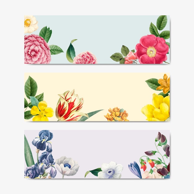 Vecteur De Label Titre Nature Floral Vintage Concept