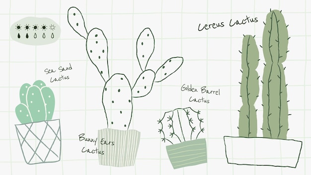 Vecteur De Modèle De Tableau D'arrosage Pour Plantes D'intérieur Cactus