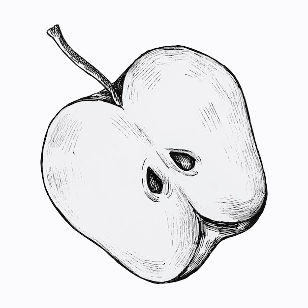 Vecteur gratuit vecteur de pomme à moitié coupé dessiné à la main