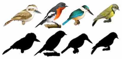 Vecteur gratuit version silhouette, couleur et contour des oiseaux